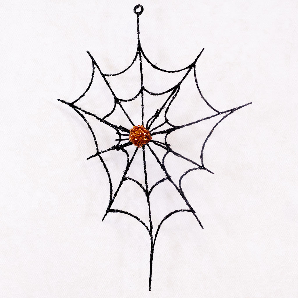 Small Spider Web
