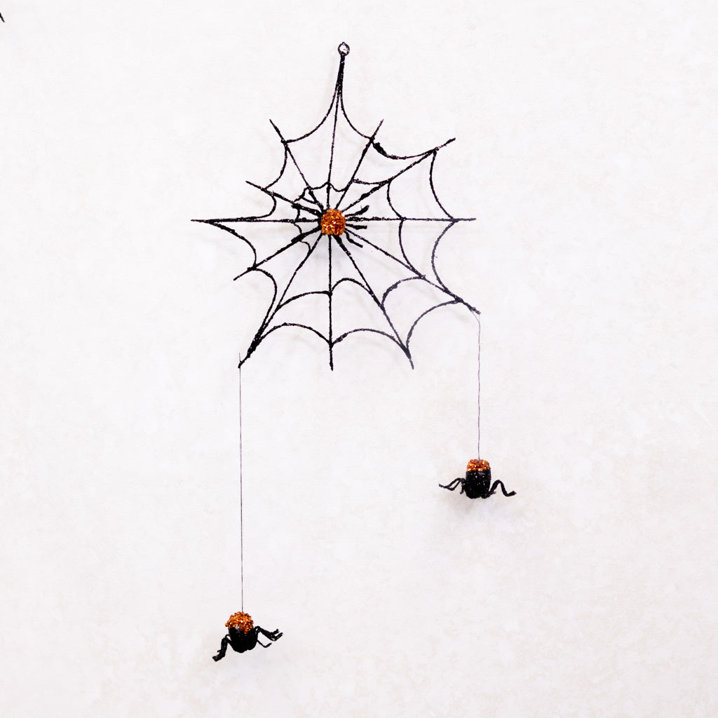 Large Spider Web