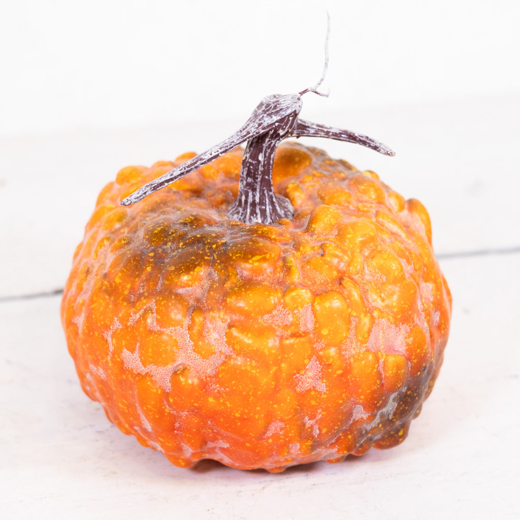 Hybrid Orange Pumpkin