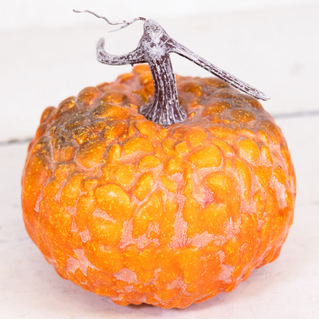Hybrid Orange Pumpkin