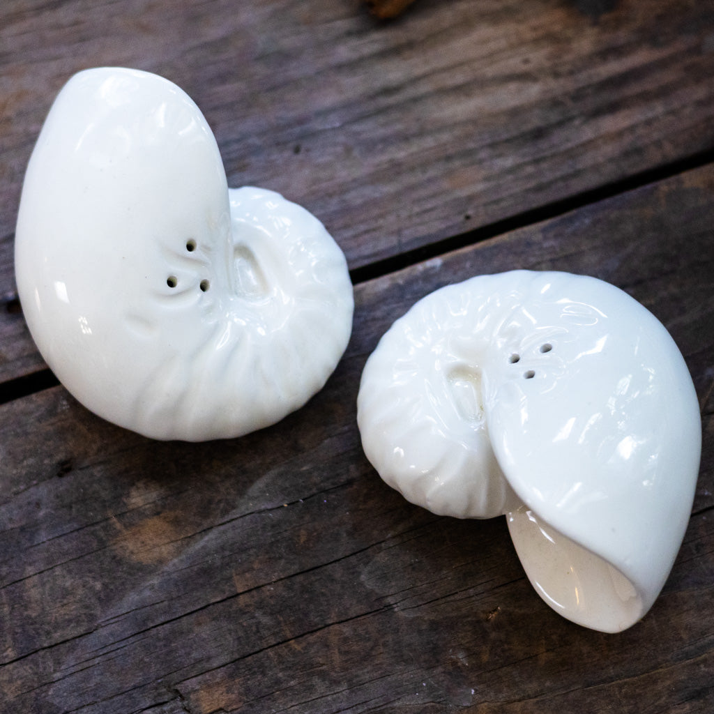 Vintage Shell Salt and Pepper Shakers
