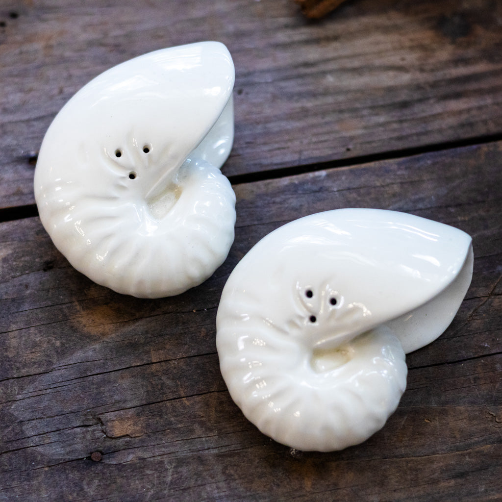 Vintage Shell Salt and Pepper Shakers