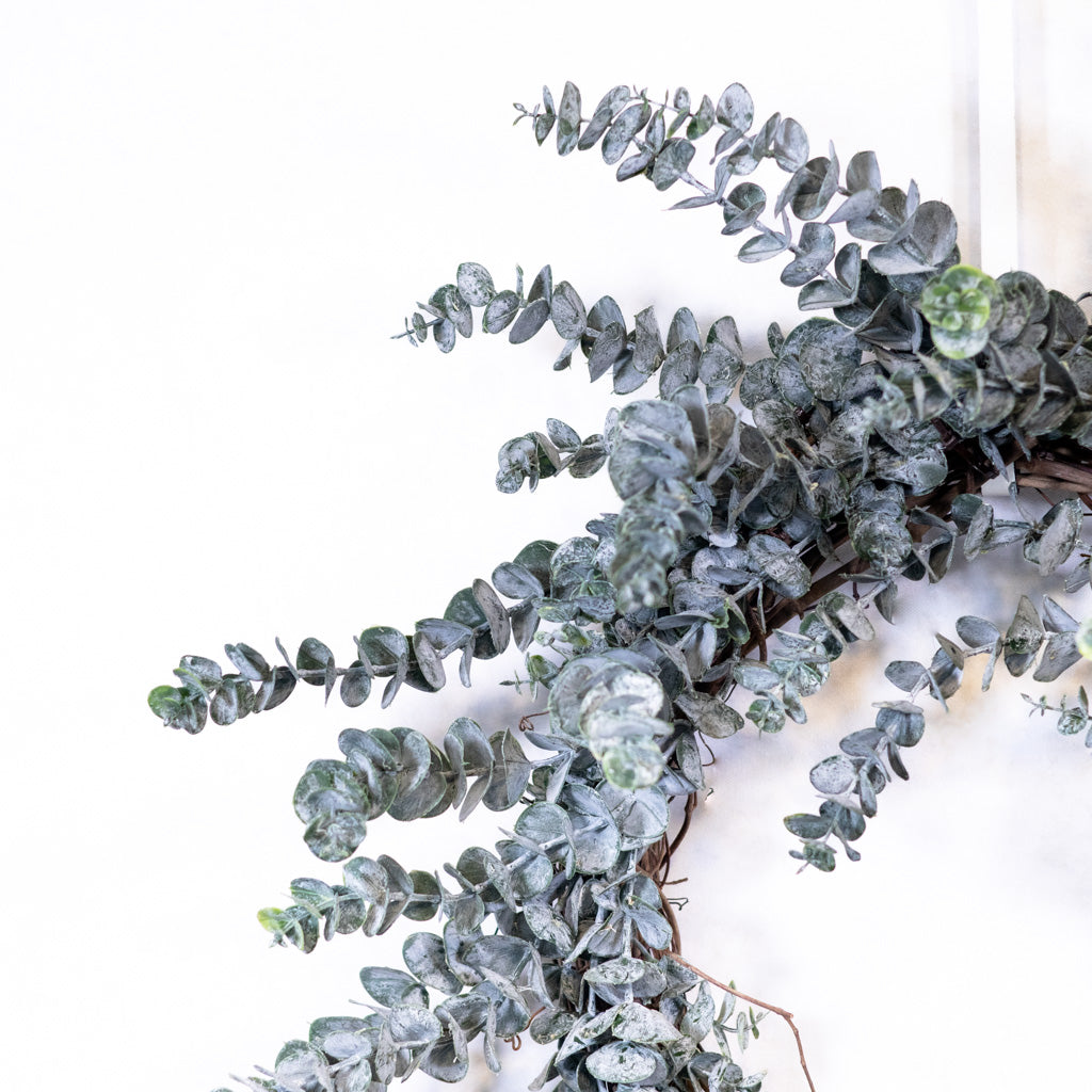 Classic Eucalyptus Wreath