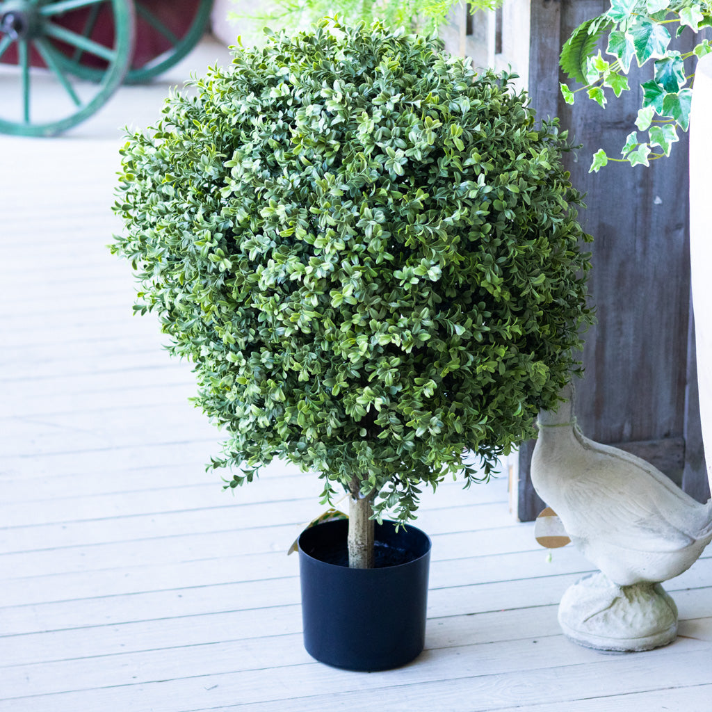 UV Bay Laurel Ball Topiary 34"H x 24"W