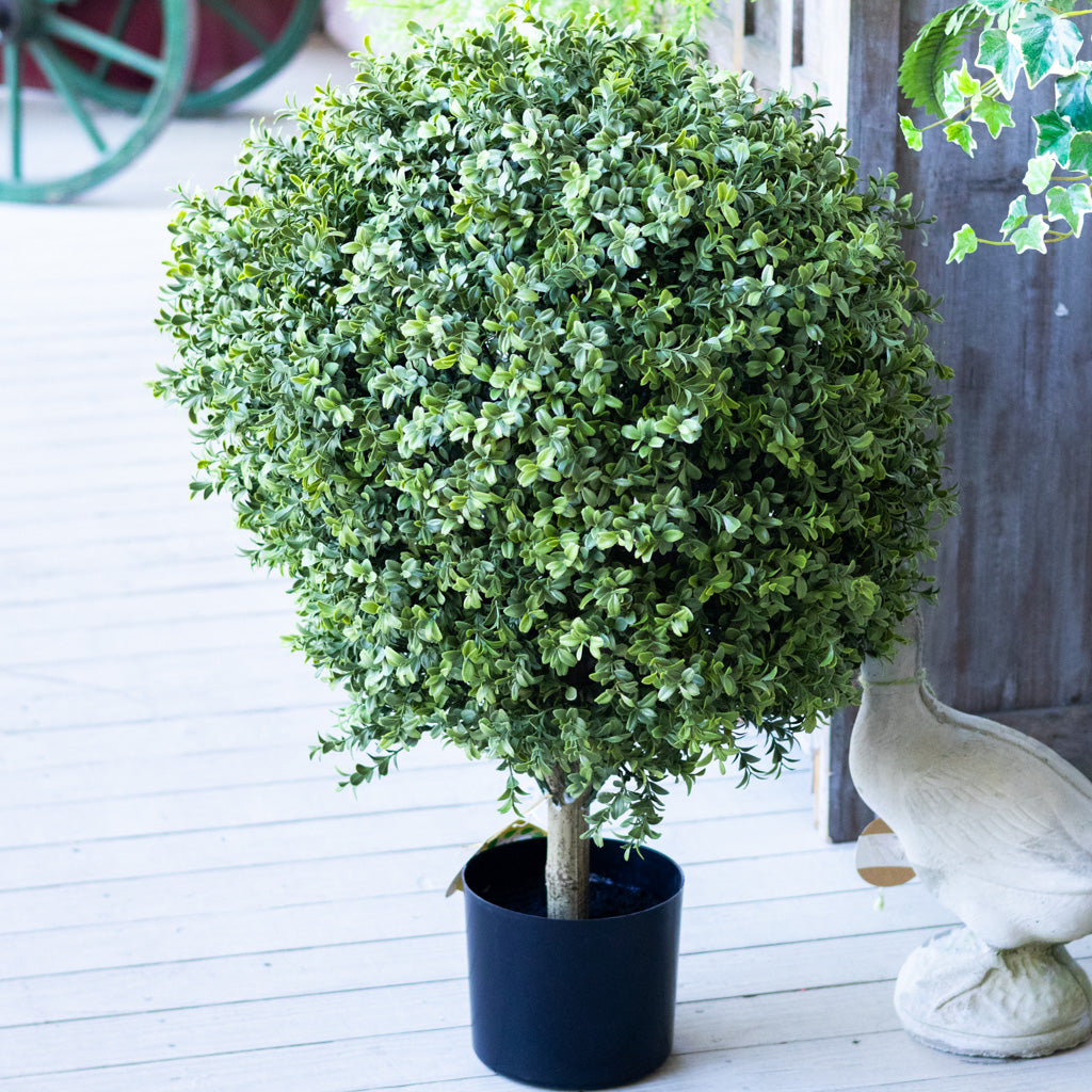 UV Boxwood Ball Topiary 34"H x 24"W
