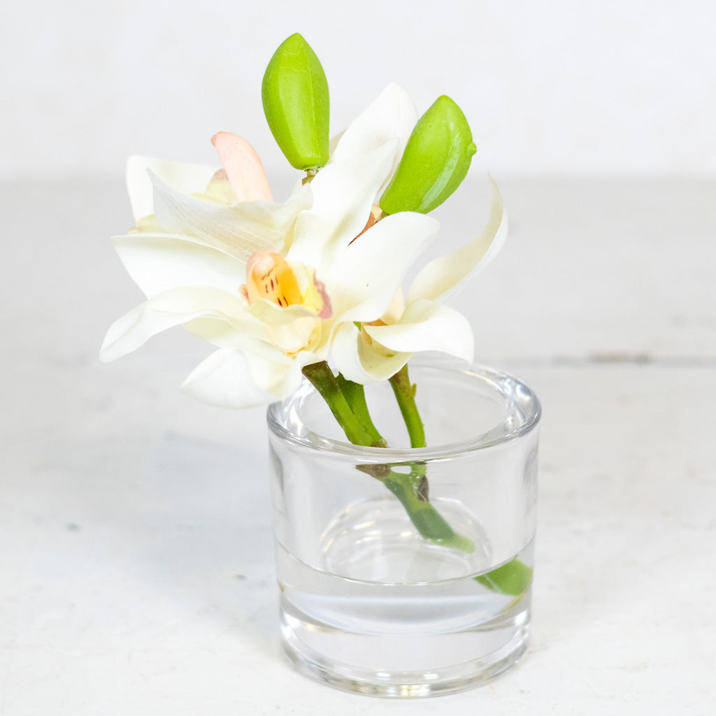 White Cymbidium in Illusion Glass Vase