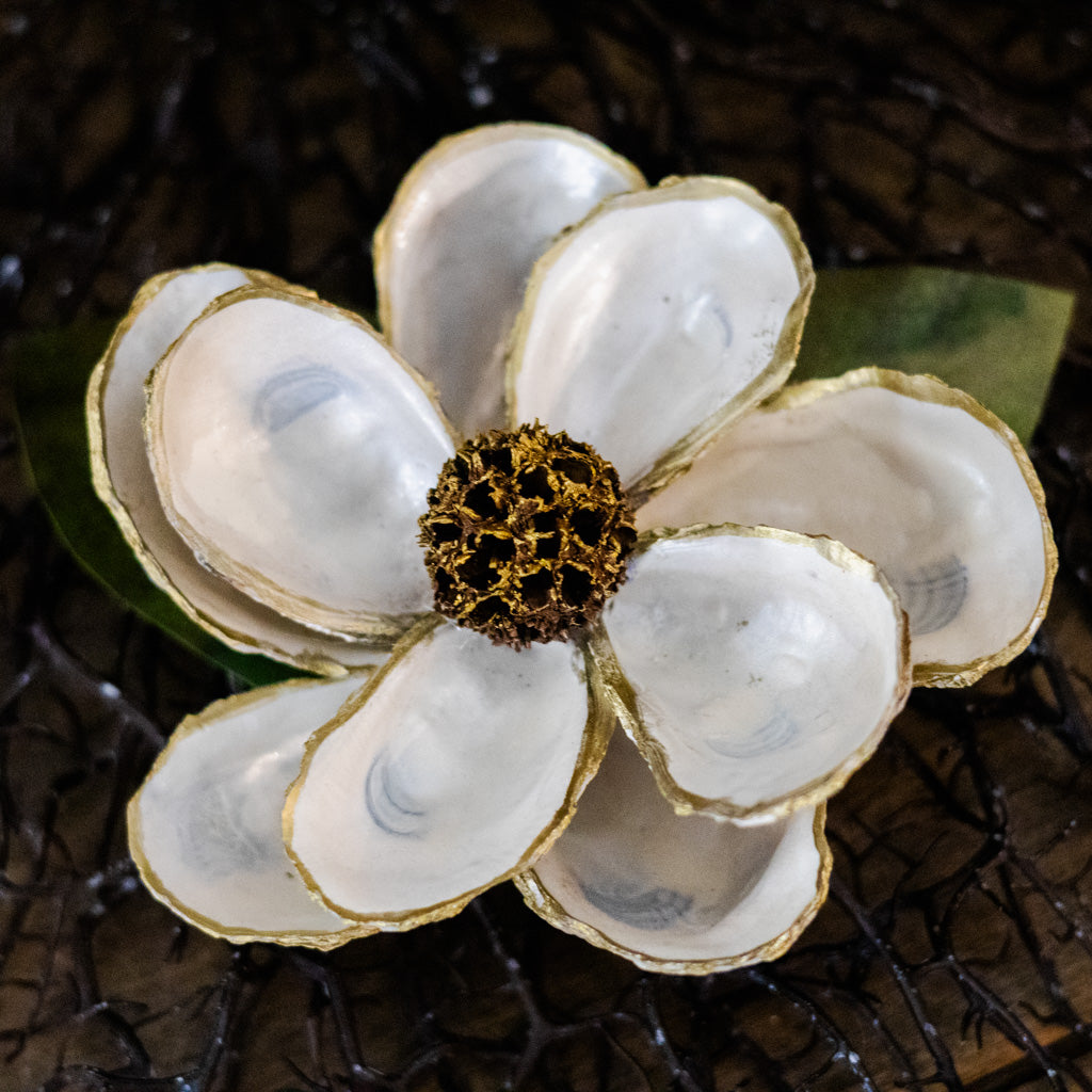 White Oyster Shell Magnolia Flower in Gift Box White