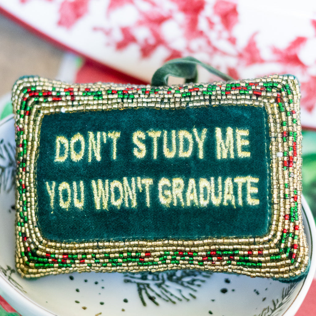Cotton Velvet Pillow "Don't Study Me You Won't Graduate"