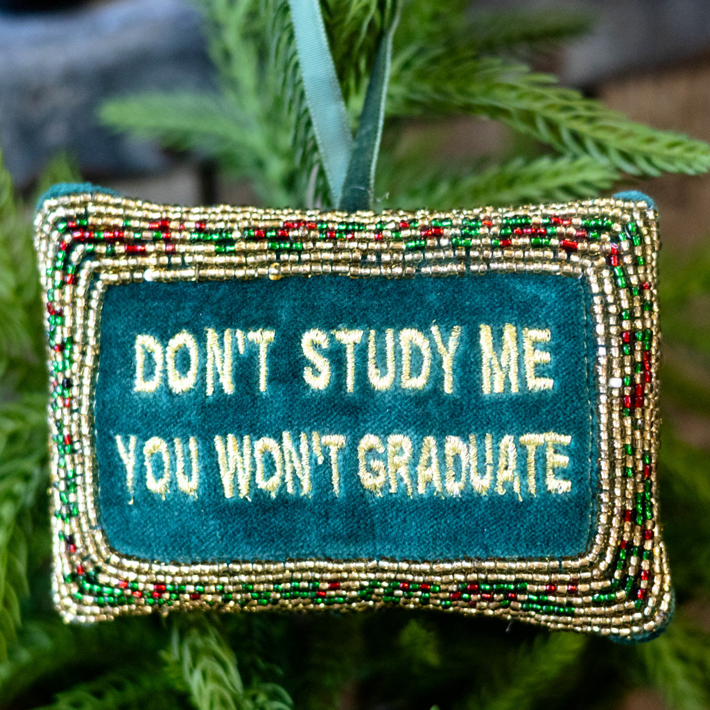 Cotton Velvet Pillow "Don't Study Me You Won't Graduate"