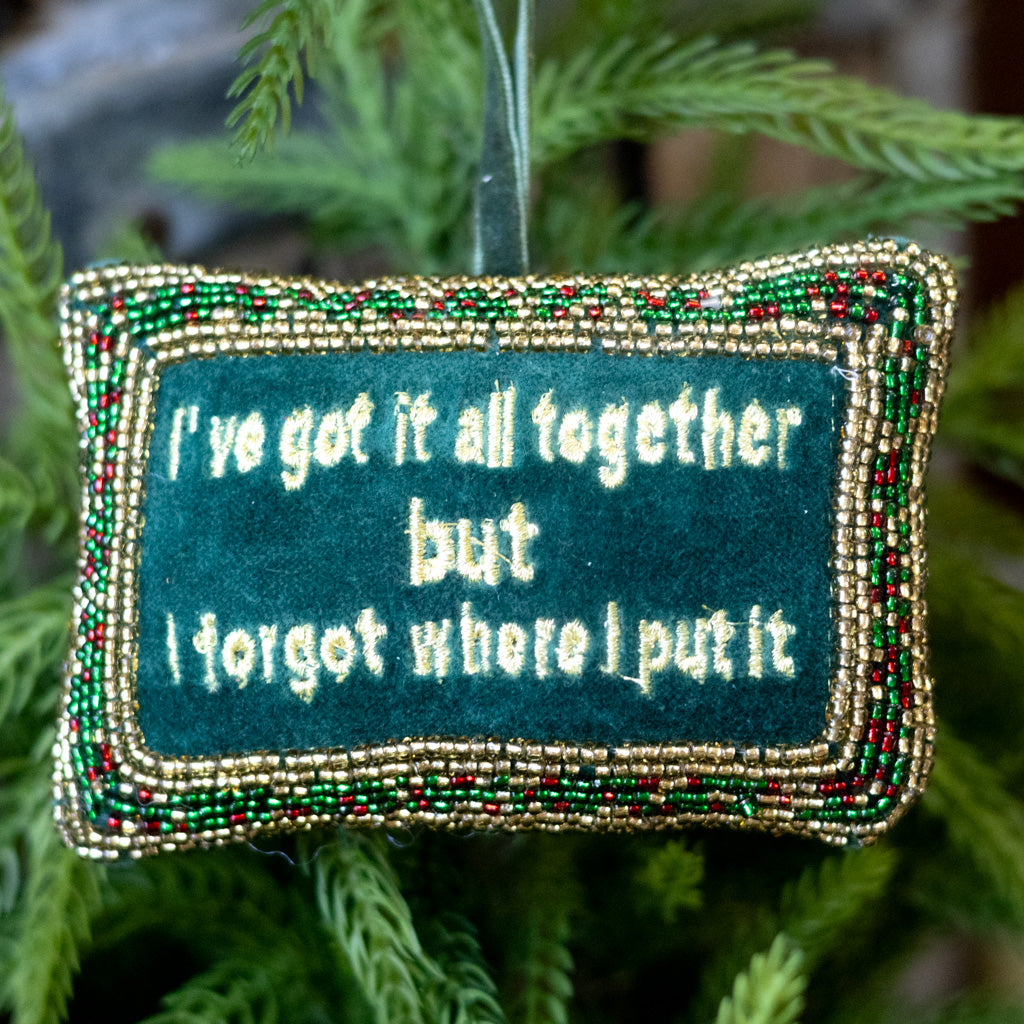 Cotton Velvet Pillow "I've Got It All Together"