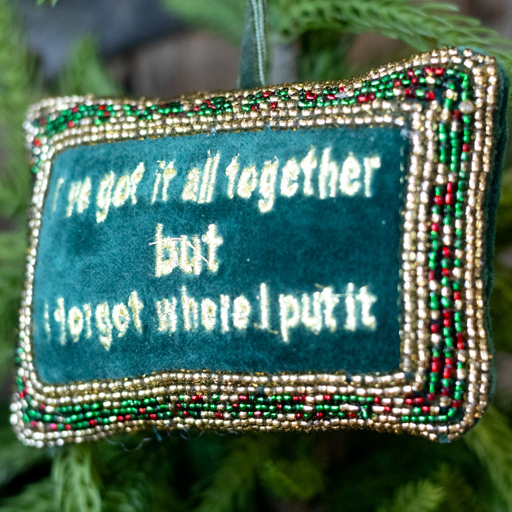 Cotton Velvet Pillow "I've Got It All Together"