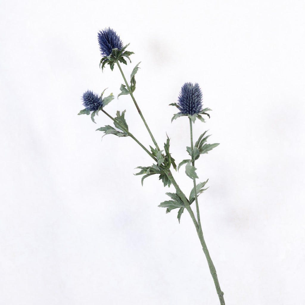 Blue Thistle Spray