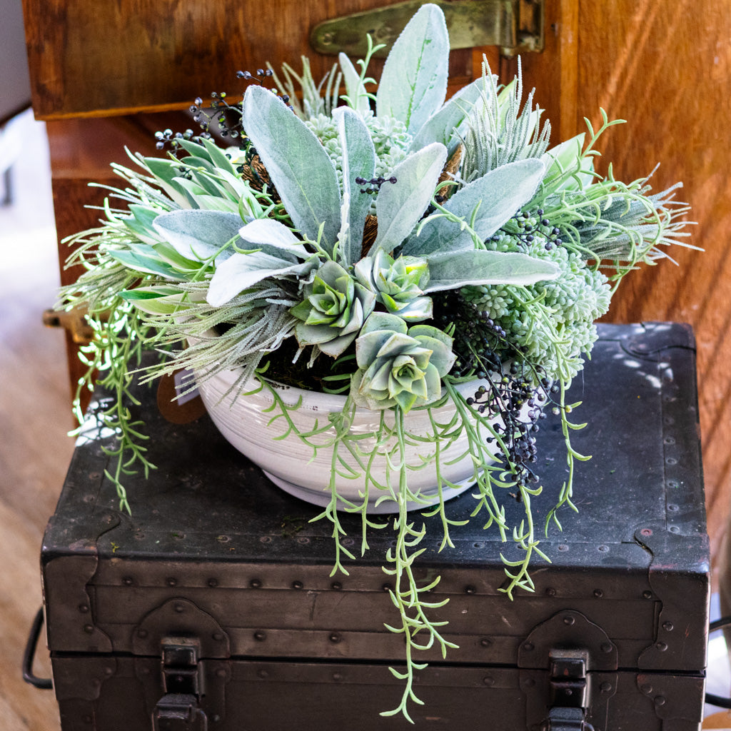 Deluxe Succulent Round Drop In