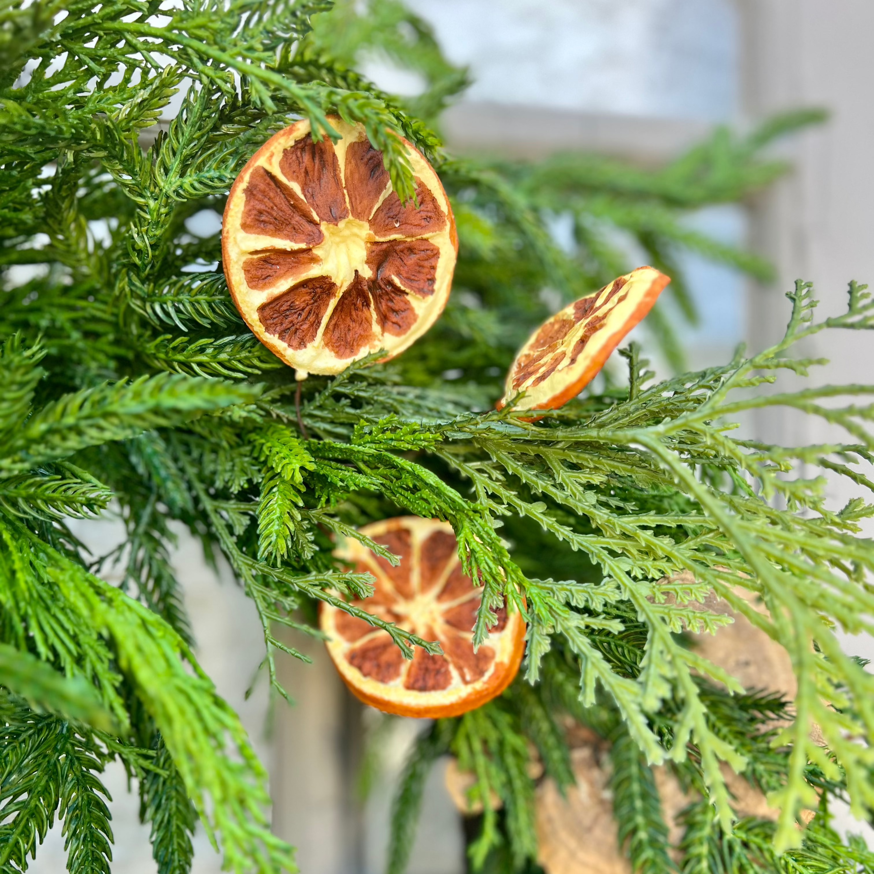 Orange Grove Evergreen Wreath