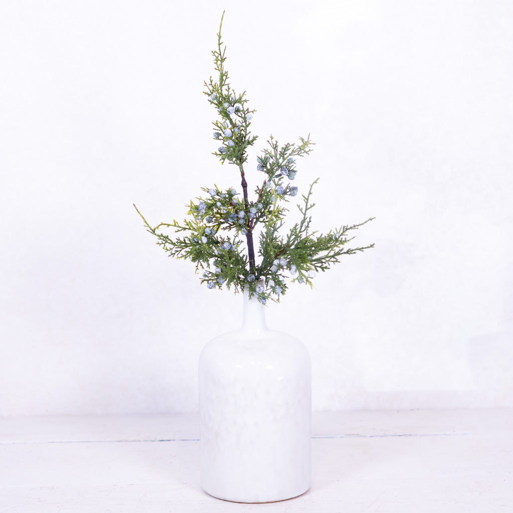 Juniper Spray with Berries Stem