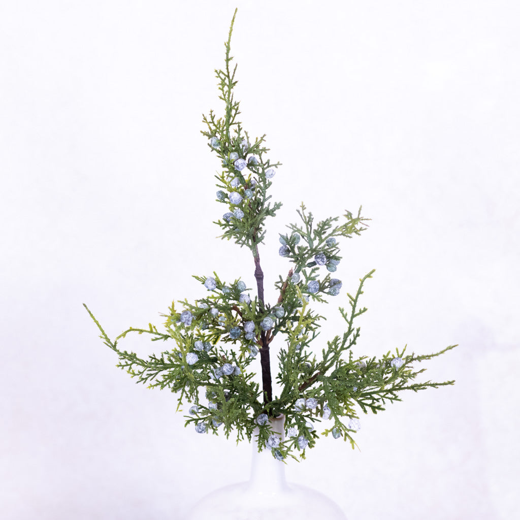Juniper Spray with Berries Stem
