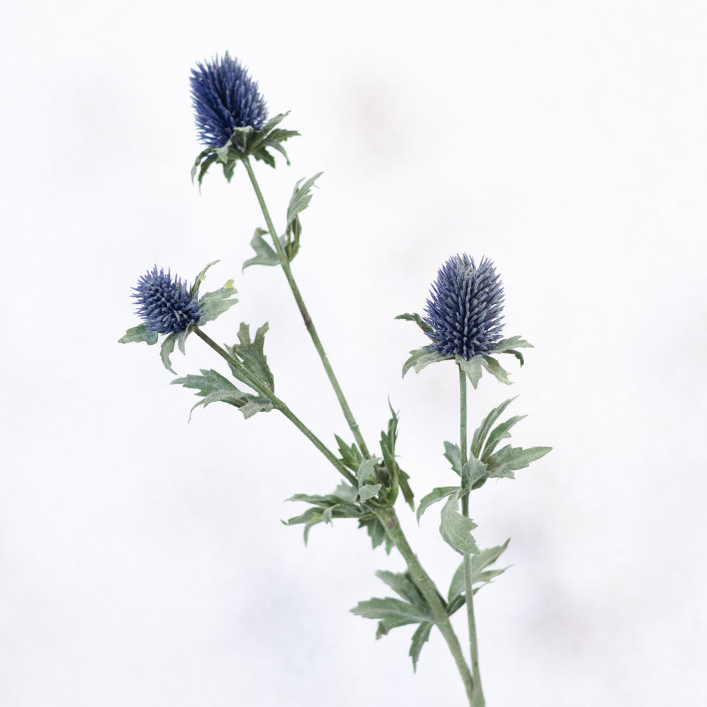 Blue Thistle Spray