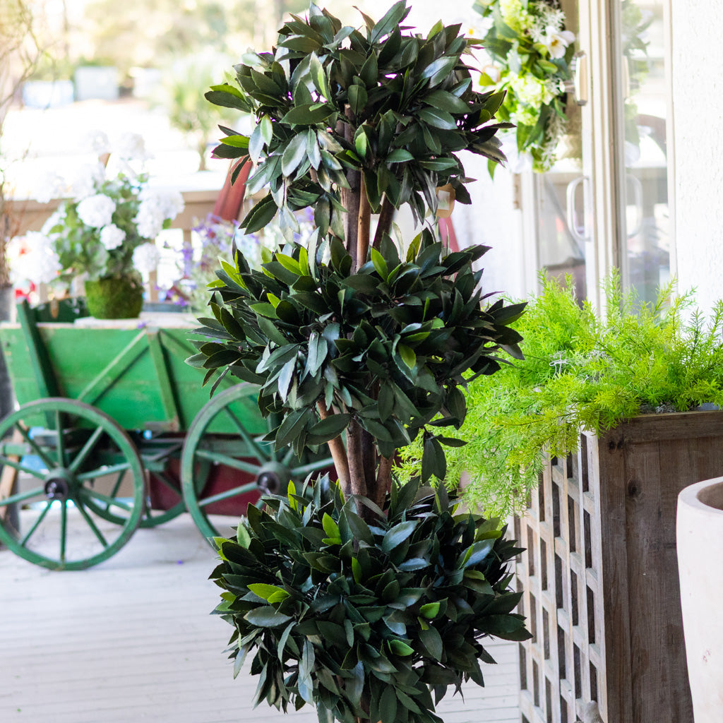 UV Bay Laurel Triple Ball Topiary 60"