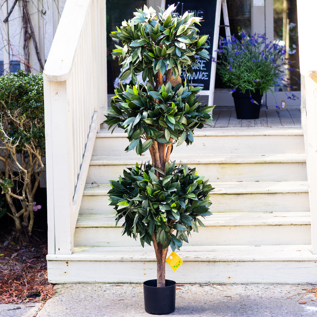 UV Bay Laurel Triple Ball Topiary 60"