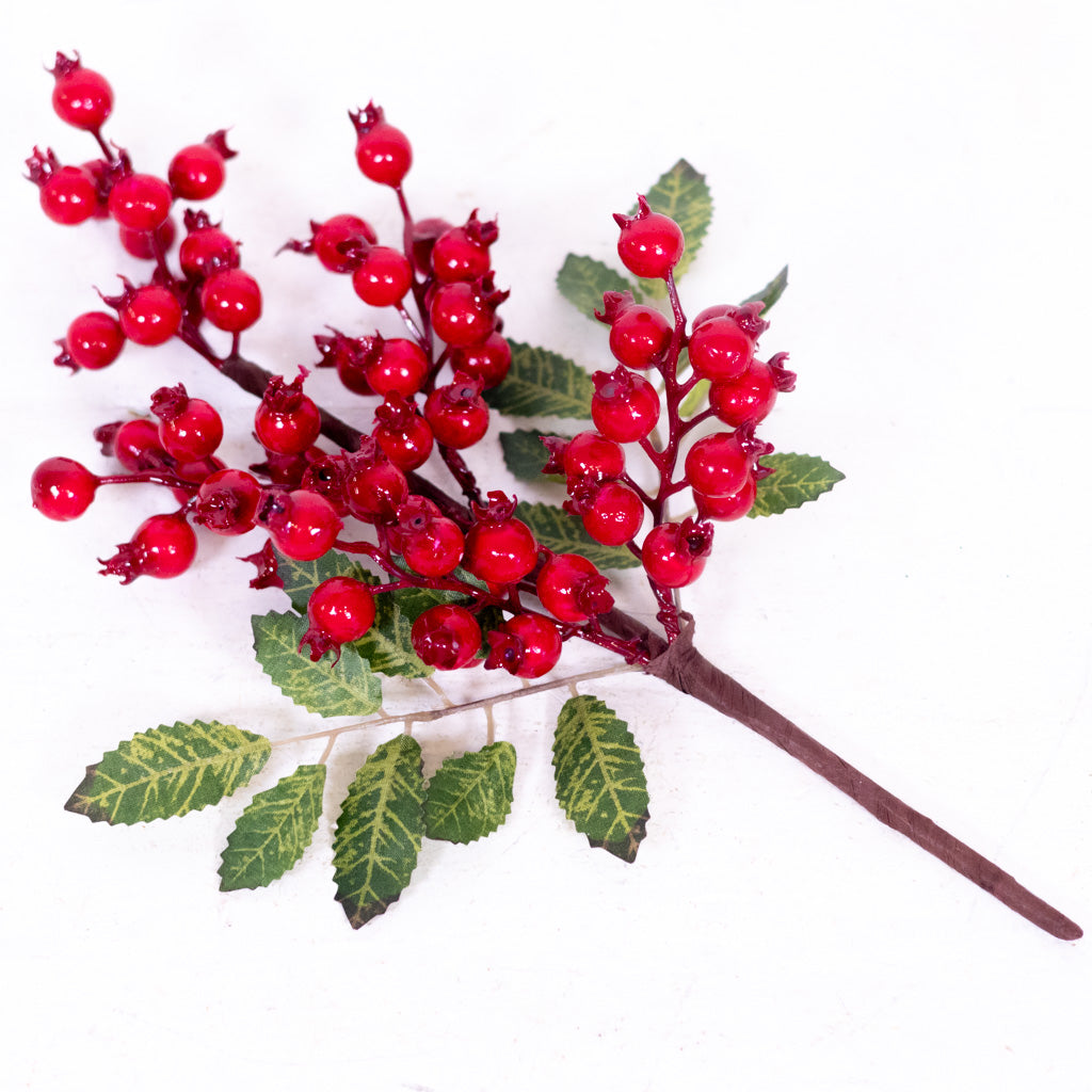 Red Rosehip Pick