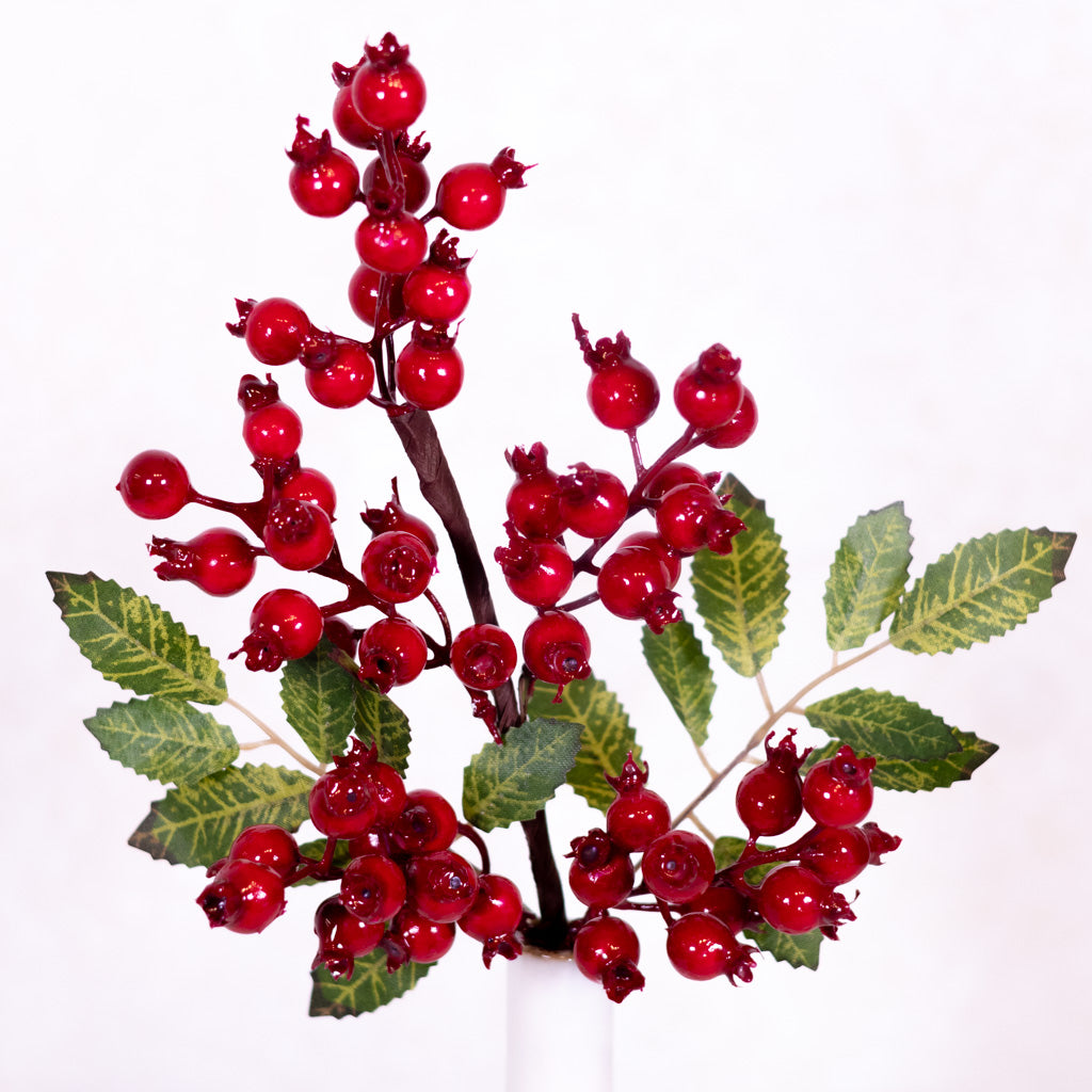 Red Rosehip Pick
