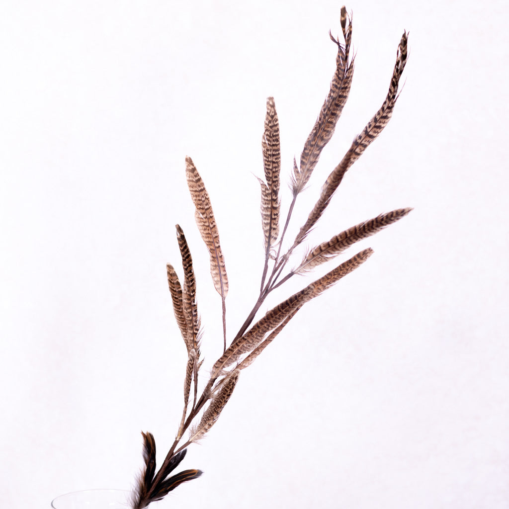 Pheasant Feather Spray
