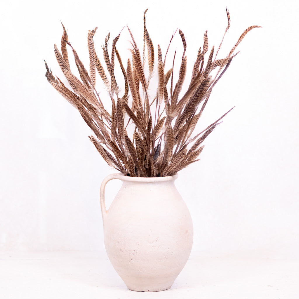 Pheasant Feather Spray