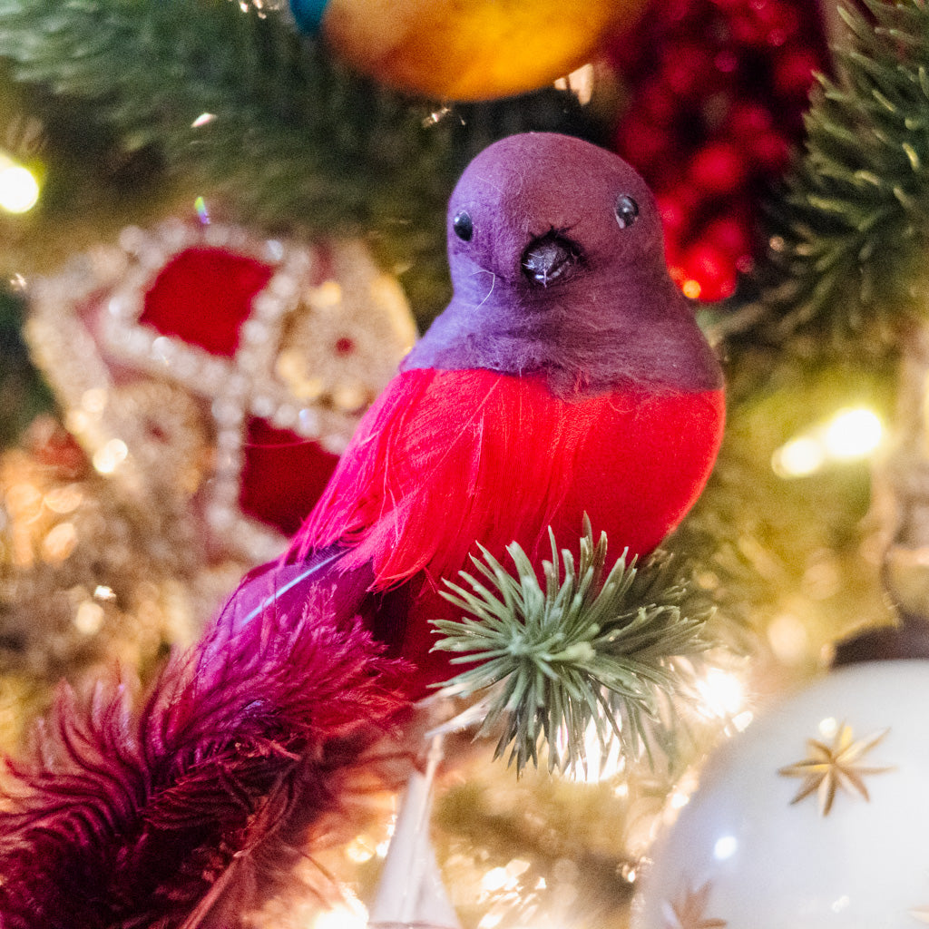 Bird with Red Ostrich Tail and Clip