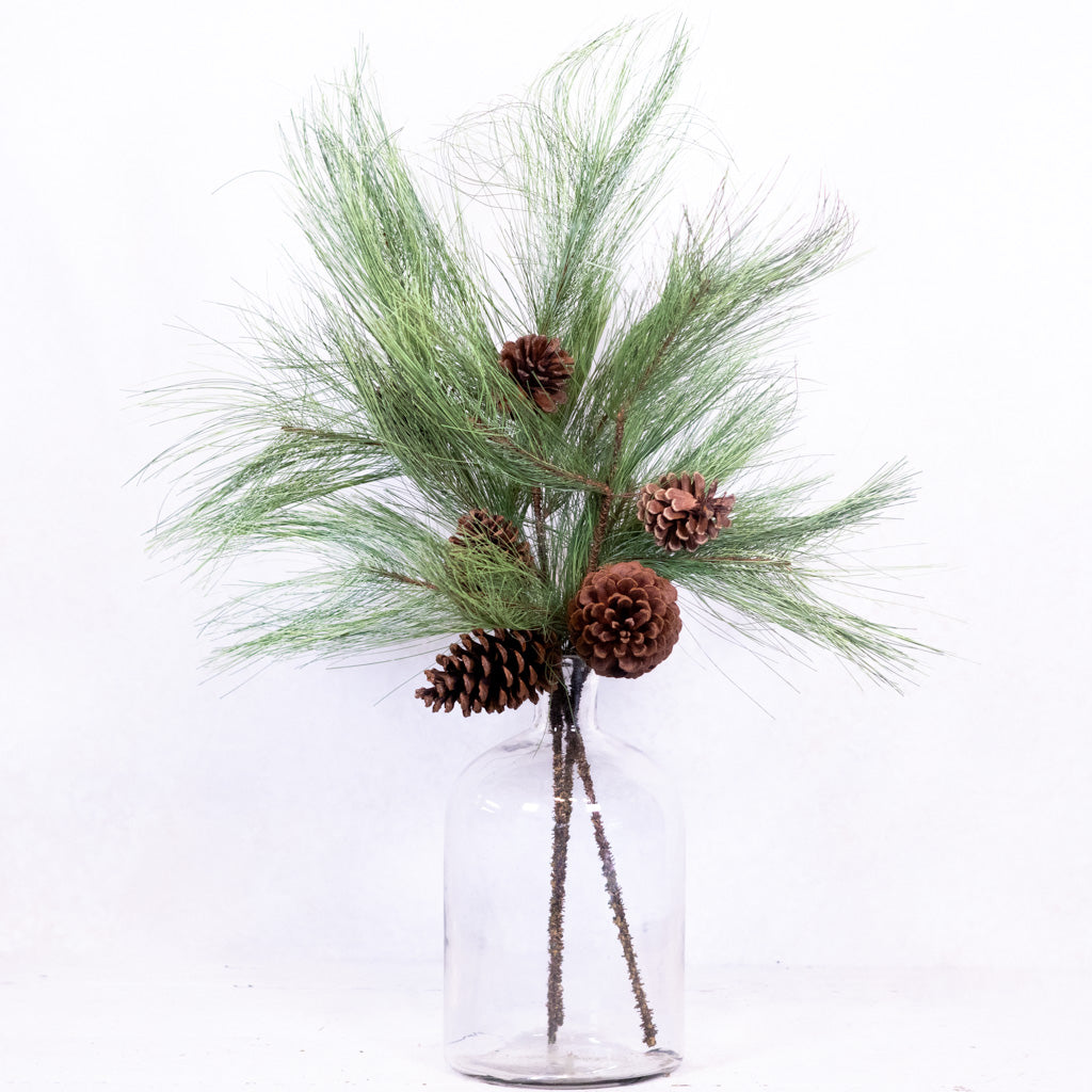 Long Needle Pine and Pinecone Spray