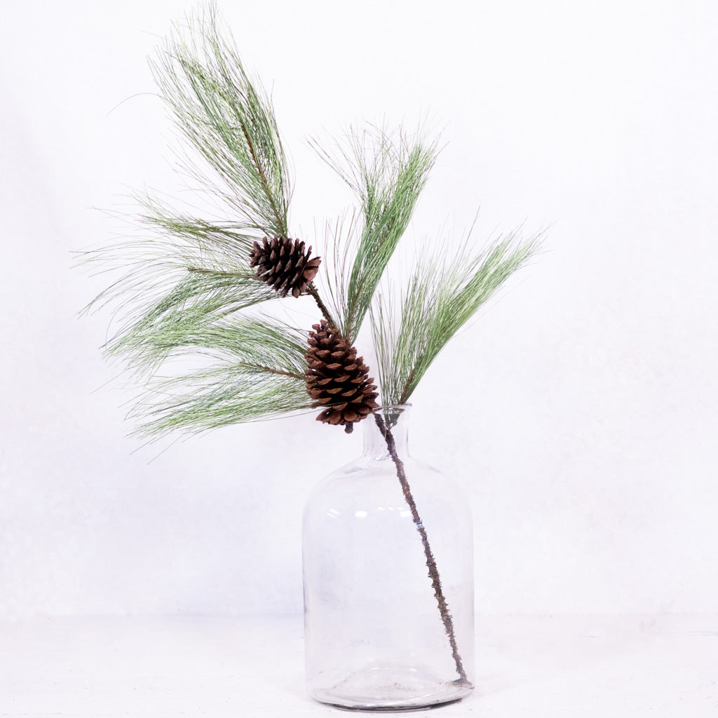 Long Needle Pine and Pinecone Spray
