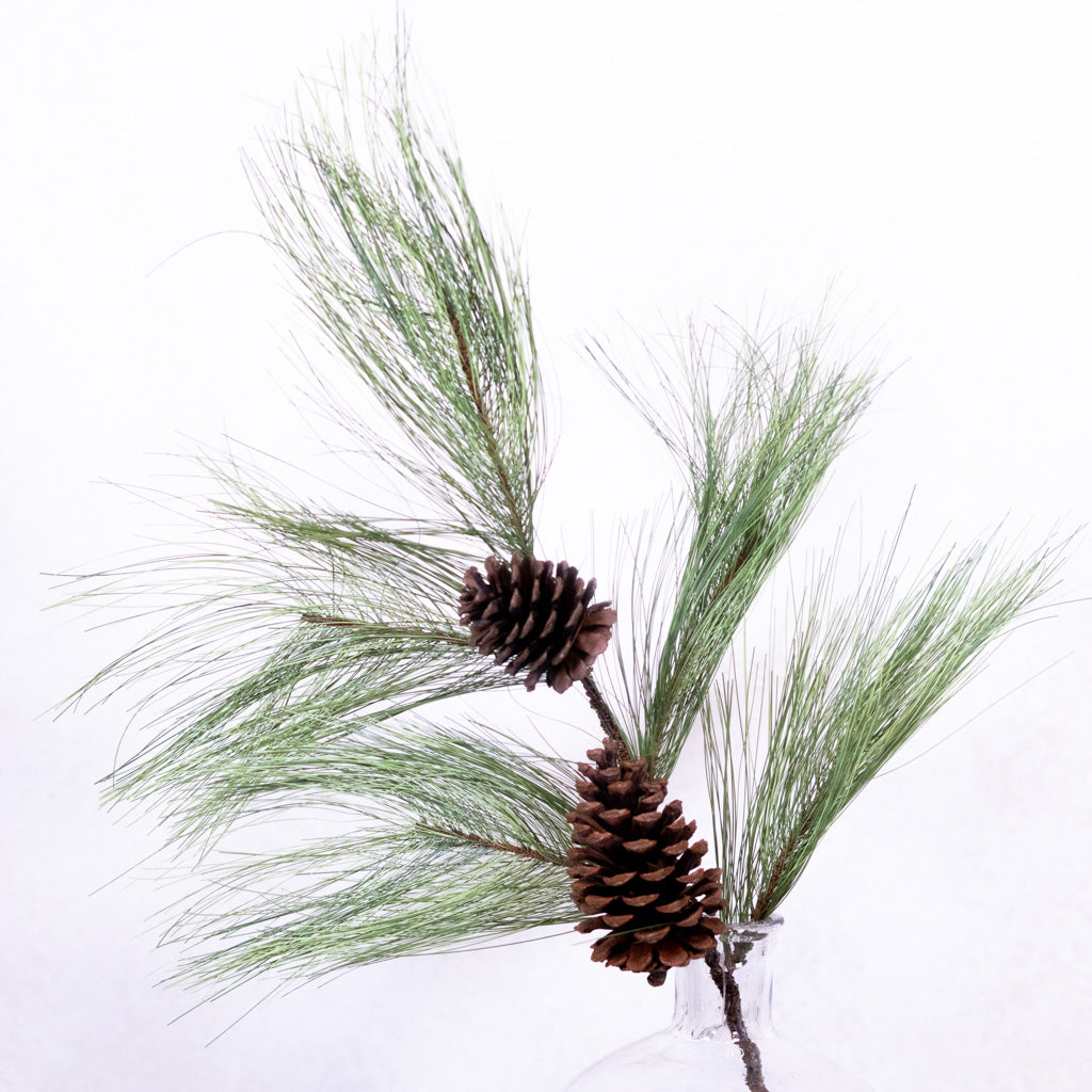 Long Needle Pine and Pinecone Spray