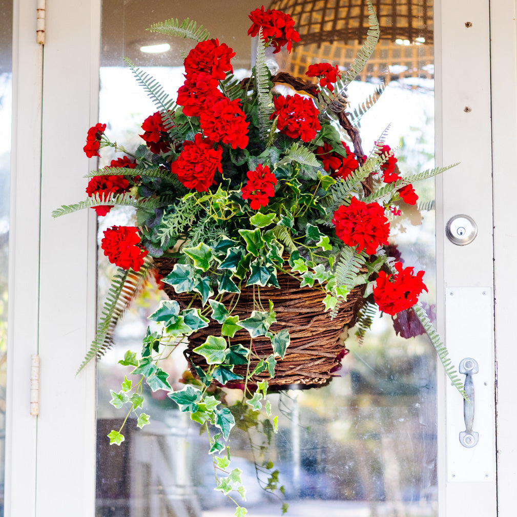 Heritage Red Geranium Drop In
