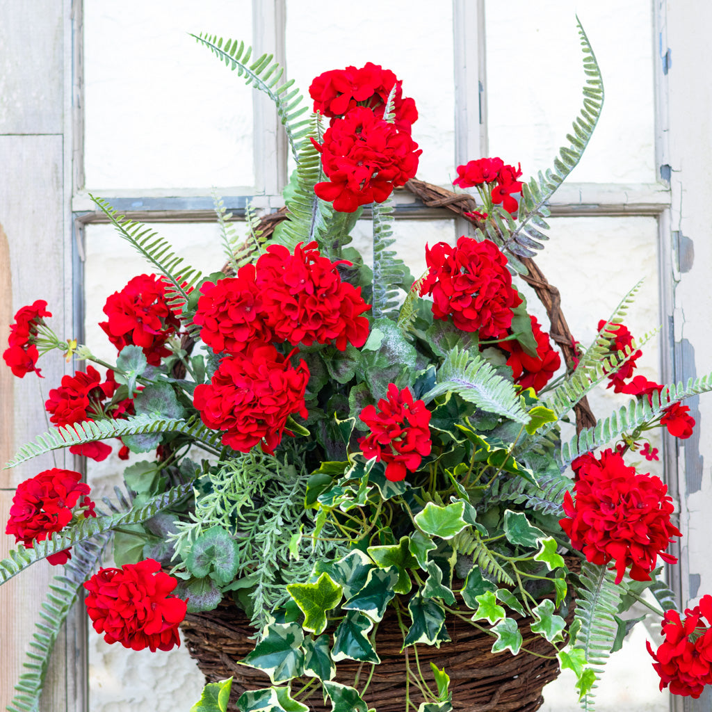 Heritage Red Geranium Drop In