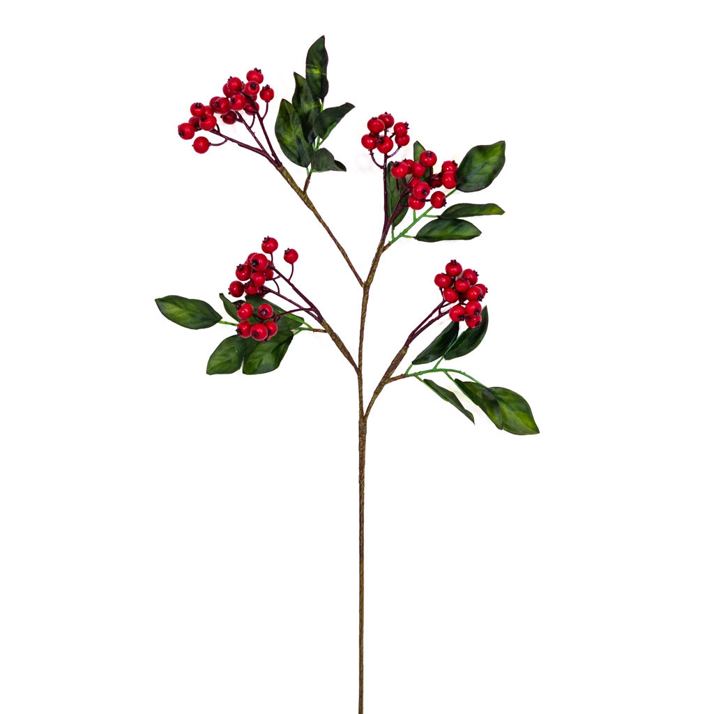 Vermont Currant Red Berry Spray