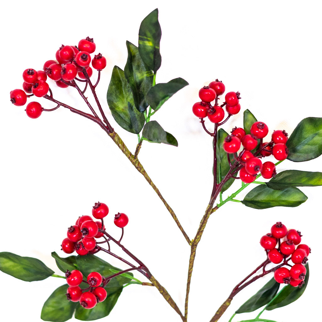 Vermont Currant Red Berry Spray