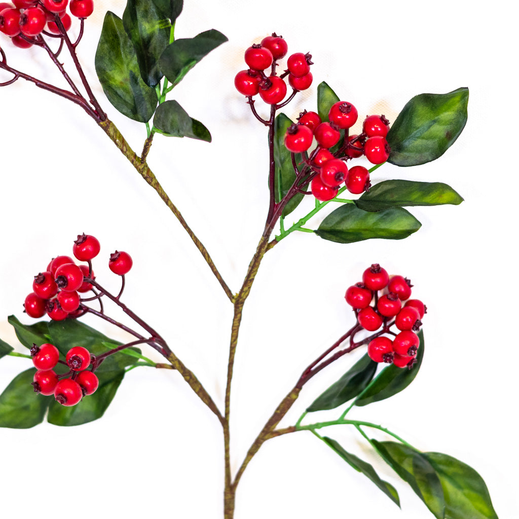 Vermont Currant Red Berry Spray
