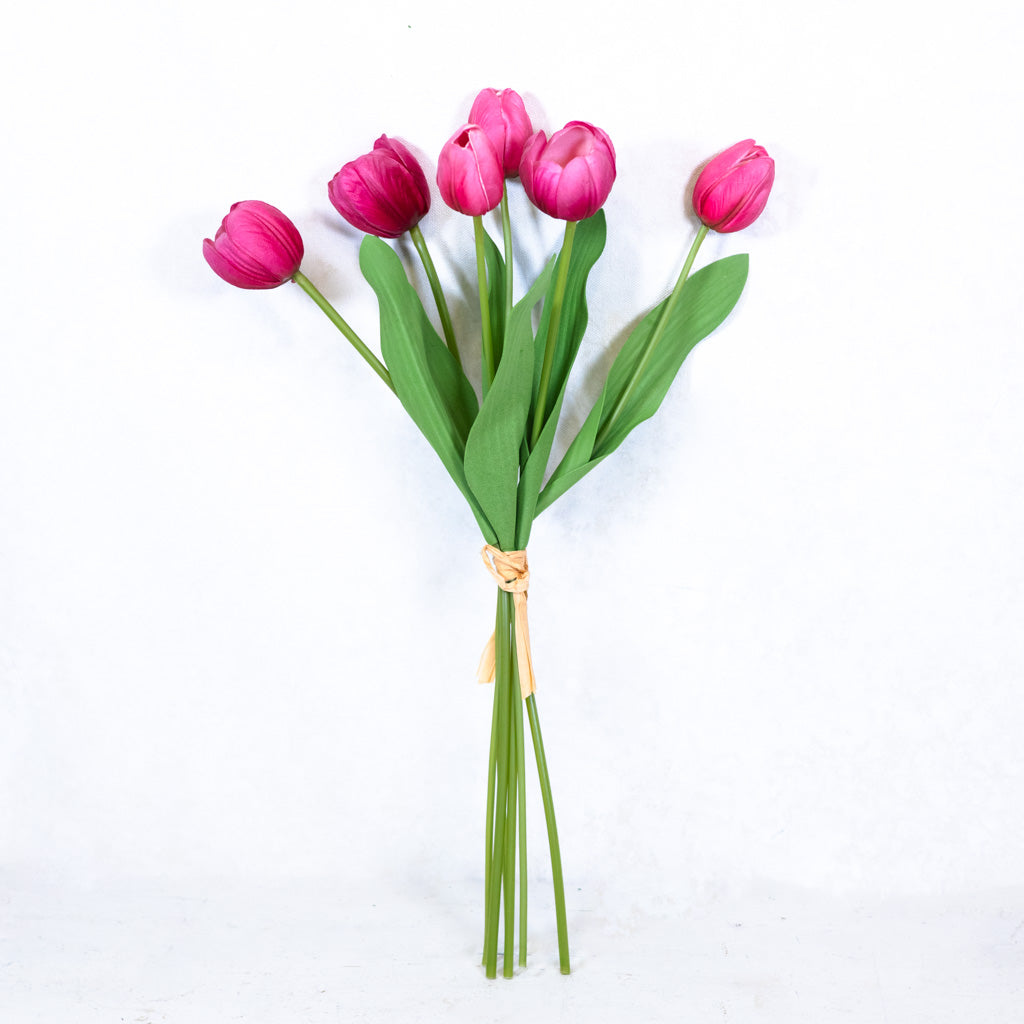 Hot Pink Tulip Bundle of Six