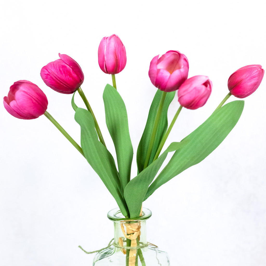 Hot Pink Tulip Bundle of Six