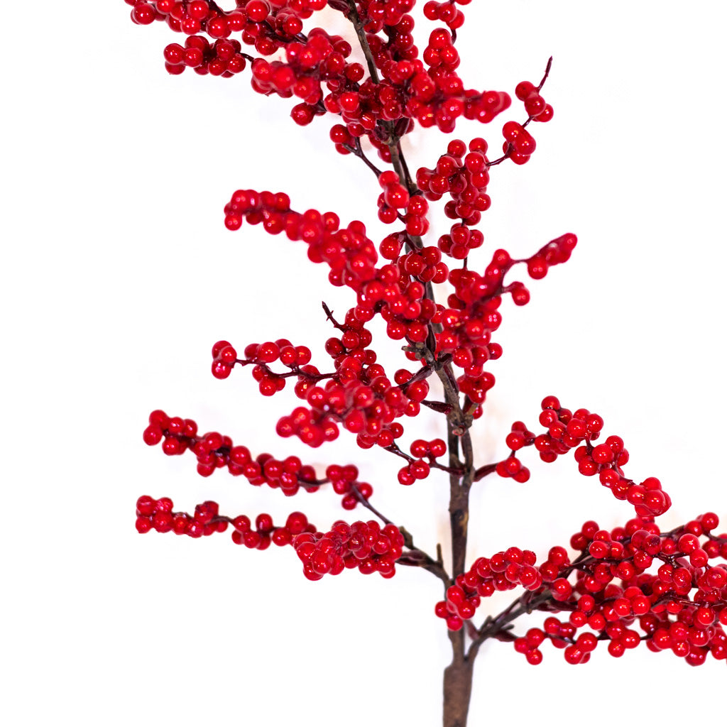 Mountain Red Berry Spray