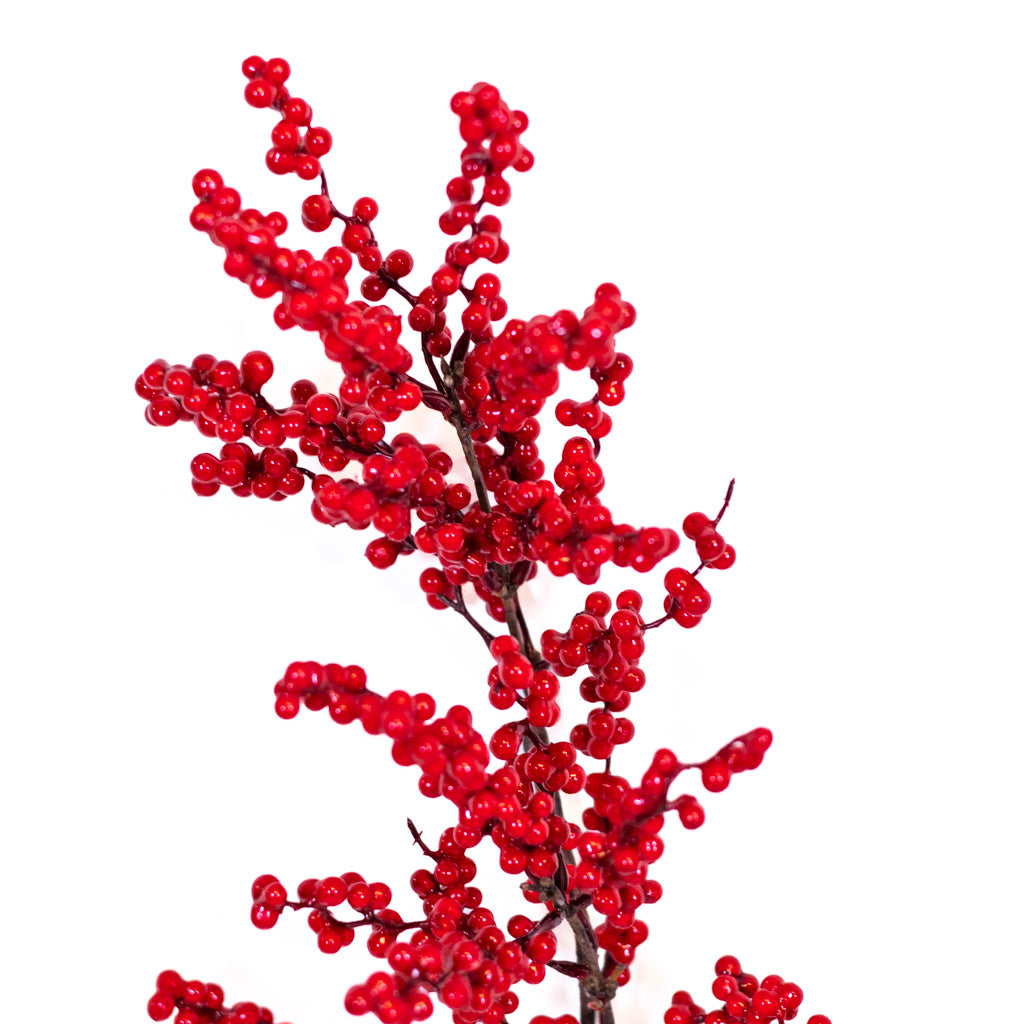 Mountain Red Berry Spray