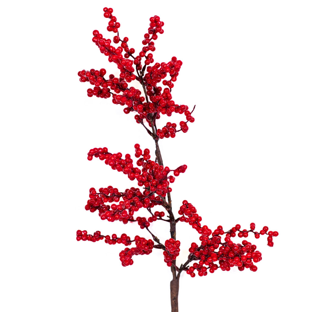 Mountain Red Berry Spray