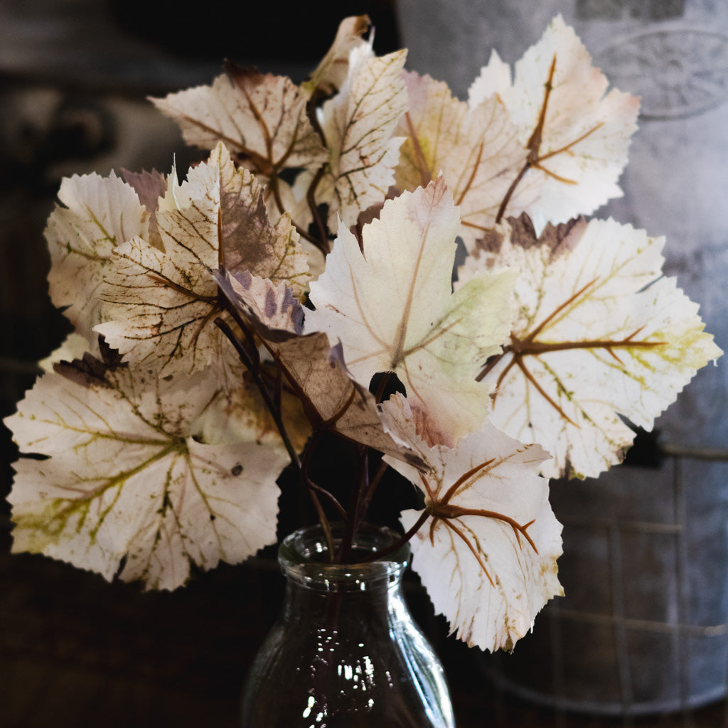 Grape Leaf Cream Brown Spray