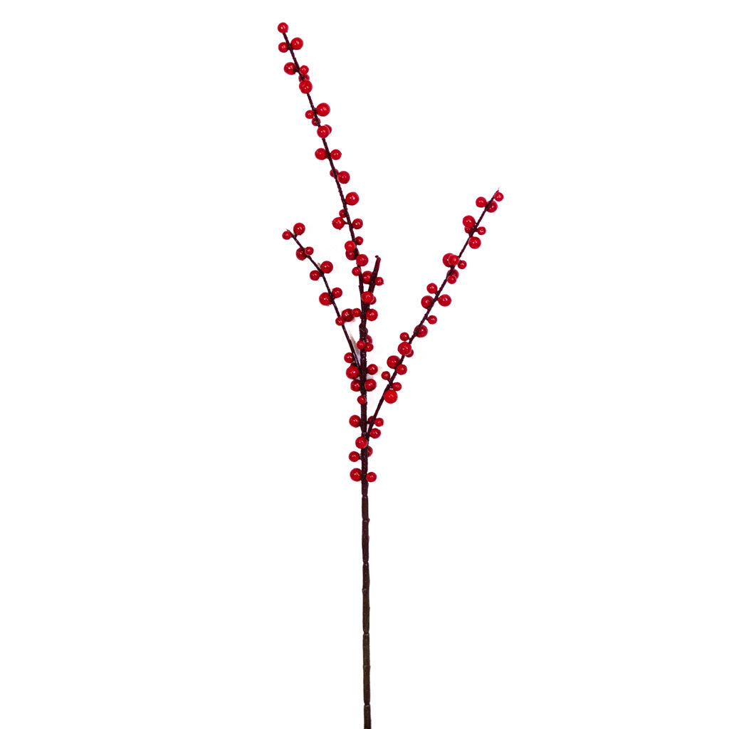 Red Ilex Berry