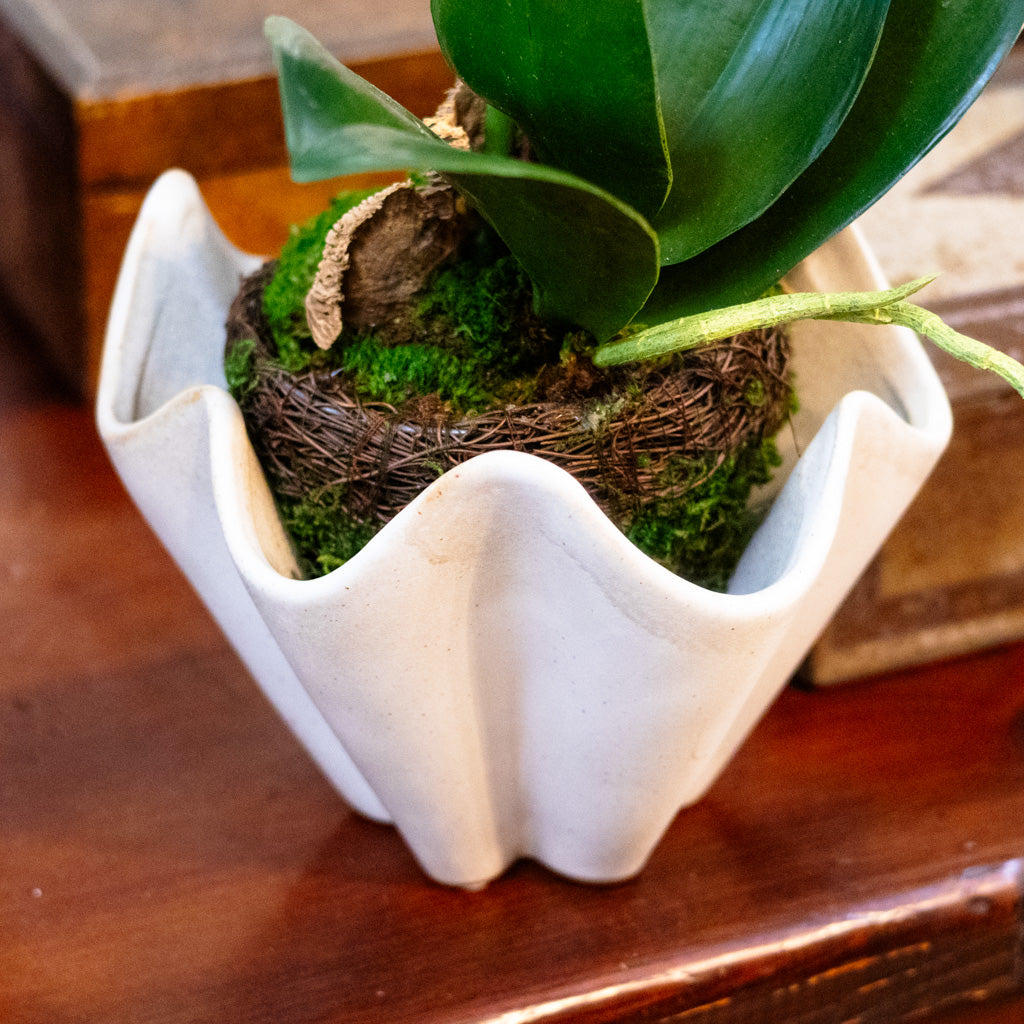 Round Speckled Cream Bowl