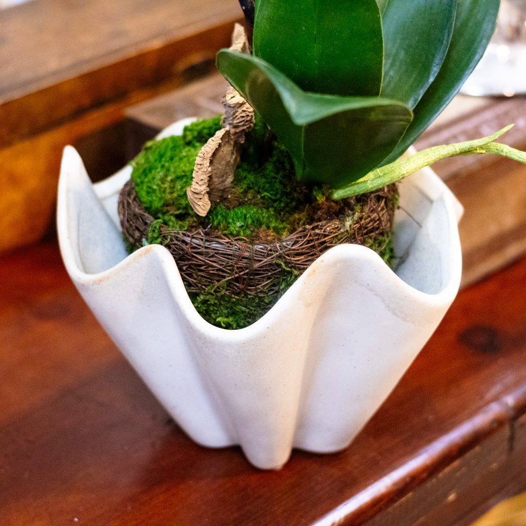 Round Speckled Cream Bowl
