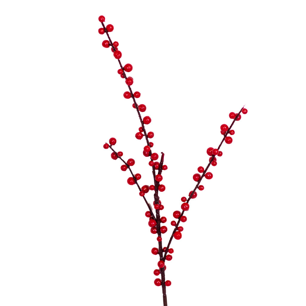 Red Ilex Berry