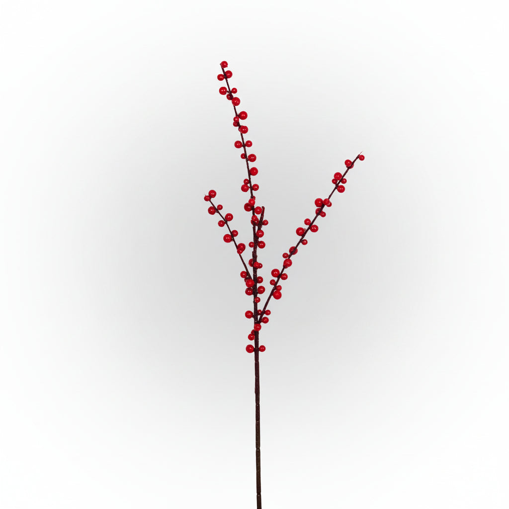 Red Ilex Berry