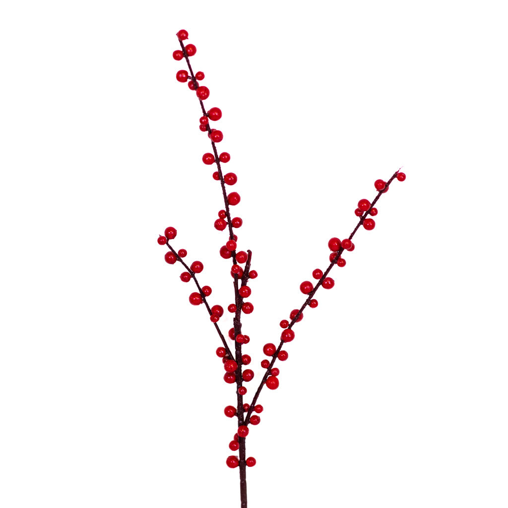 Red Ilex Berry