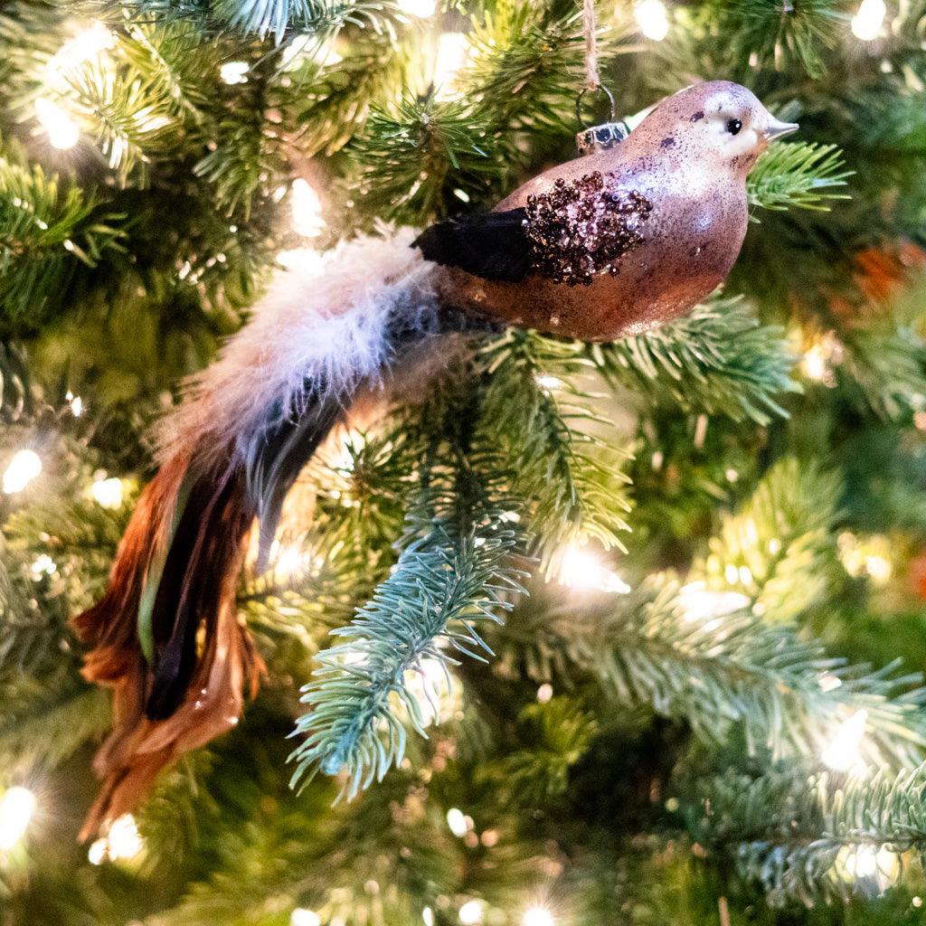 Glass Brown Bird with Feather Tail