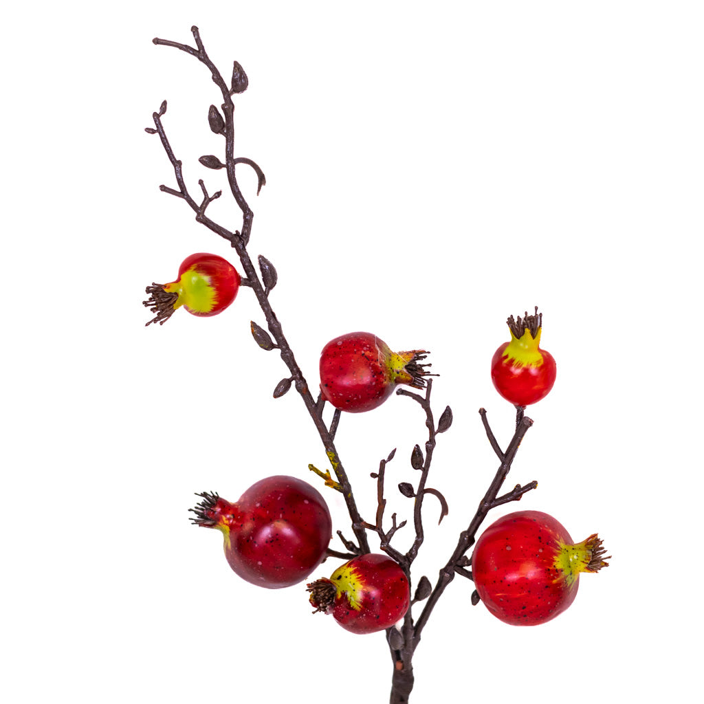 Pomegranate Red Pick